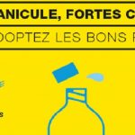 canicule