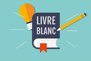 écrire un livre blanc